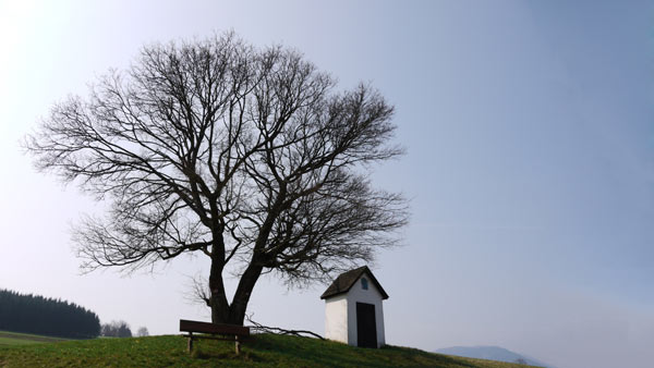 angebot-wandern