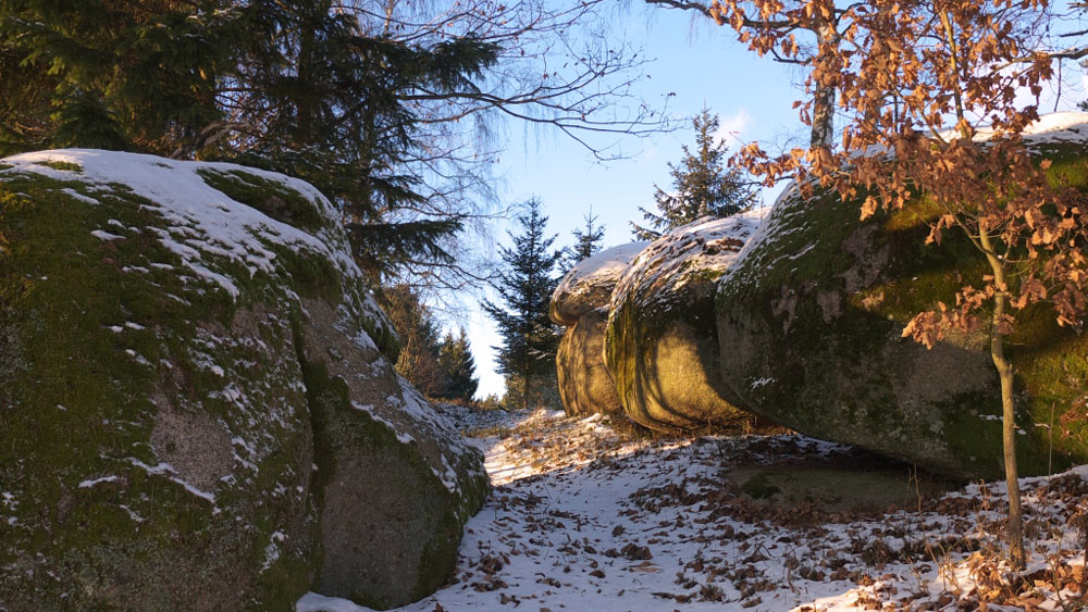 wandern mit waldrauschen