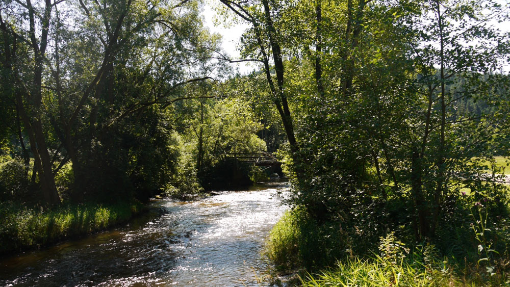 Entspanntes Wandern mit Martin